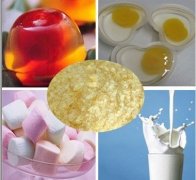 Halal清真認證常識之——明